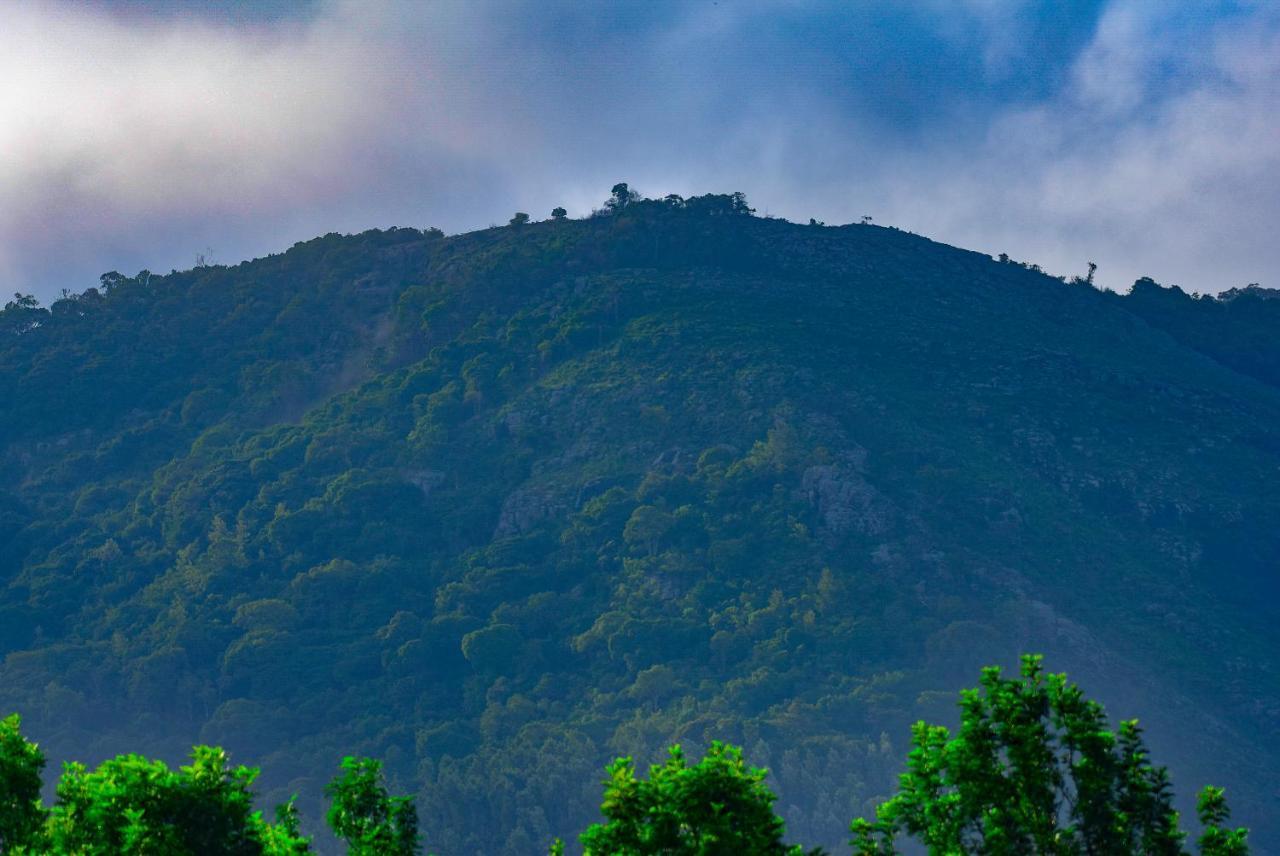 Oaks Villa By Xplore Indo Yercaud Luaran gambar